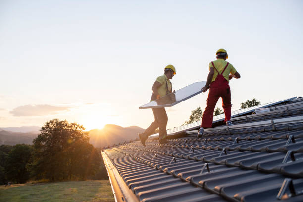 Best Roof Moss and Algae Removal  in Fullerton, PA
